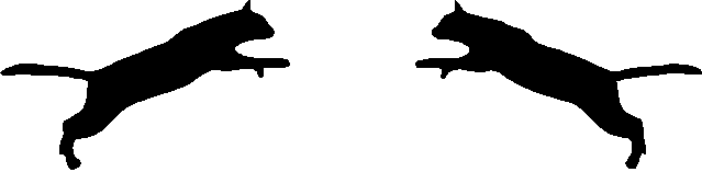 Cat Logo