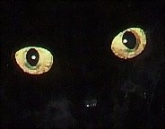 Logo Katzenaugen / Cats